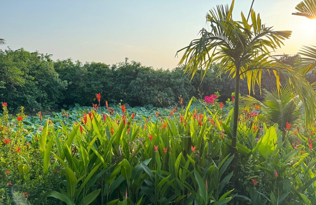 z5477455394403 7f763acc89de284ede74400ad9a4b951 e1716811841508