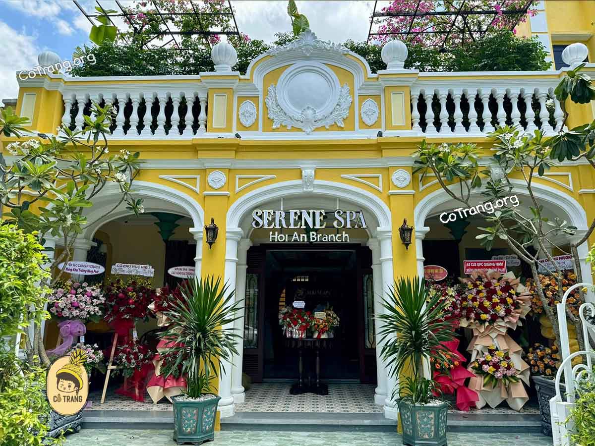 Sense Spa Hội An Sense Spa Hội An